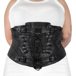 DA310/BVL-LXL - DA-310-LXL